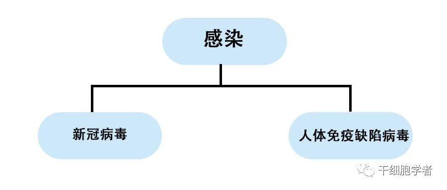 干细胞治疗应用病症合集 （四）