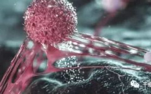 NK细胞是抗癌第一道防线，解析癌症NK细胞免疫疗法
