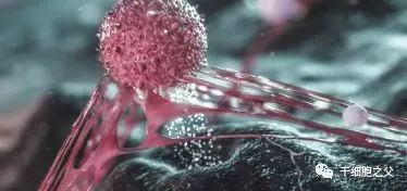 NK细胞是抗癌第一道防线，解析癌症NK细胞免疫疗法
