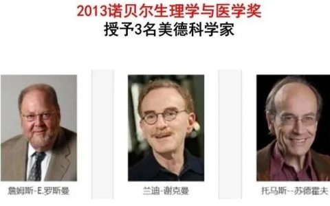 干细胞外泌体与皮肤抗衰老