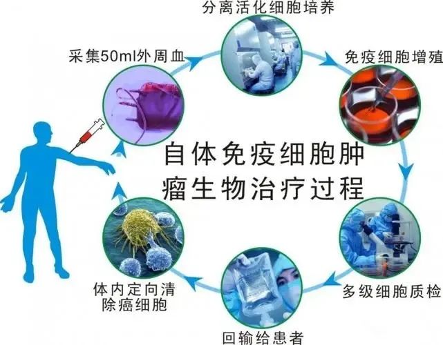 免疫细胞治疗的真相，你知道吗？