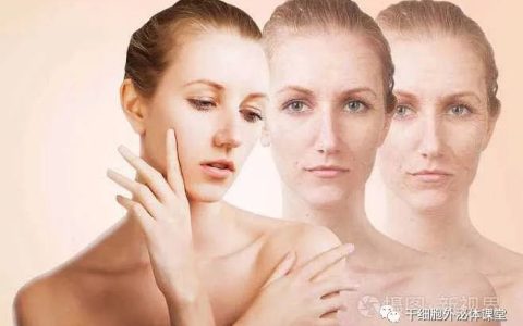 外泌体和水光针的哪个更有效？答案在这里