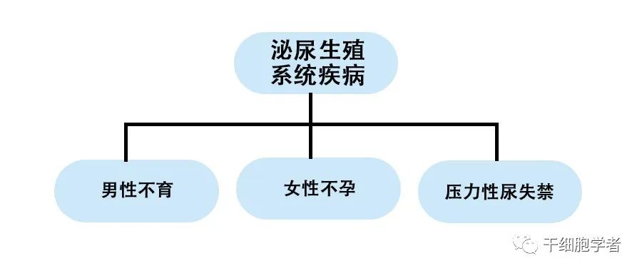 干细胞治疗应用病症合集 （二）