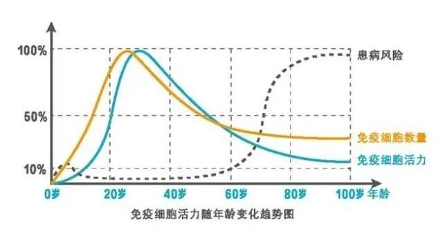 科普 | 让NK细胞成为抵抗衰老的“武器”