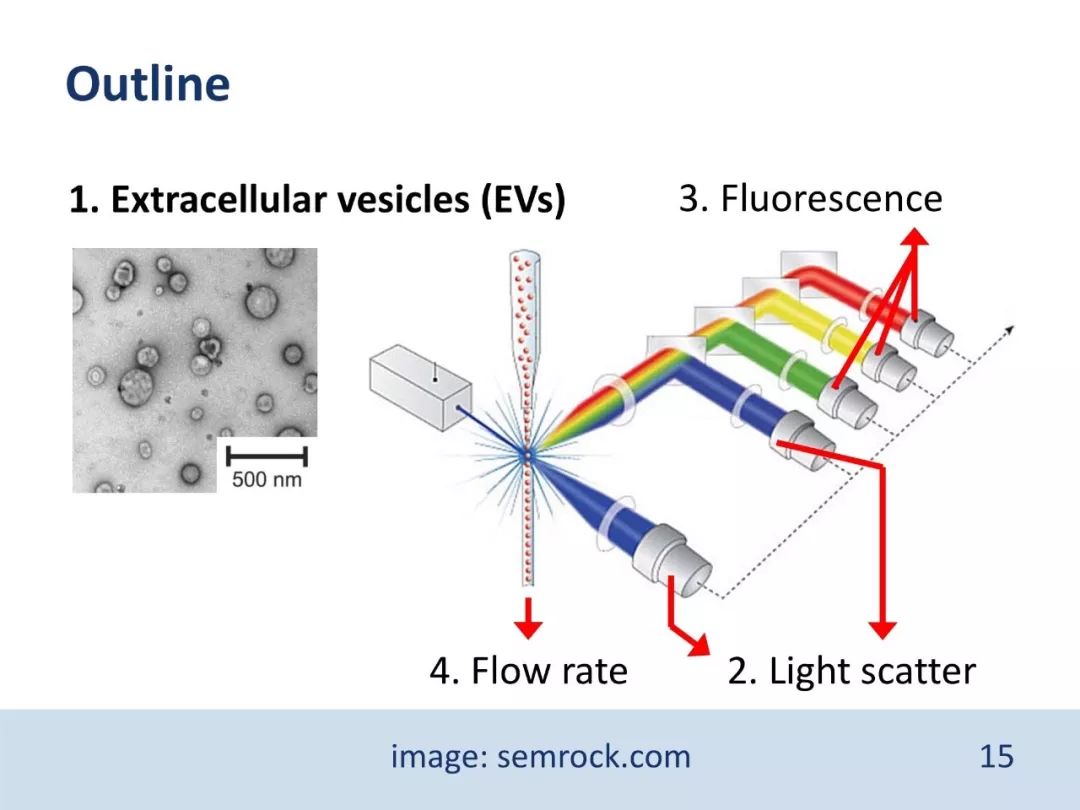 干货：流式检测外泌体，大小并不简单（PPT）