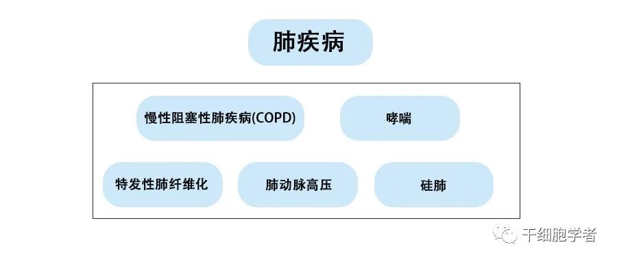 干细胞治疗应用病症合集 （二）