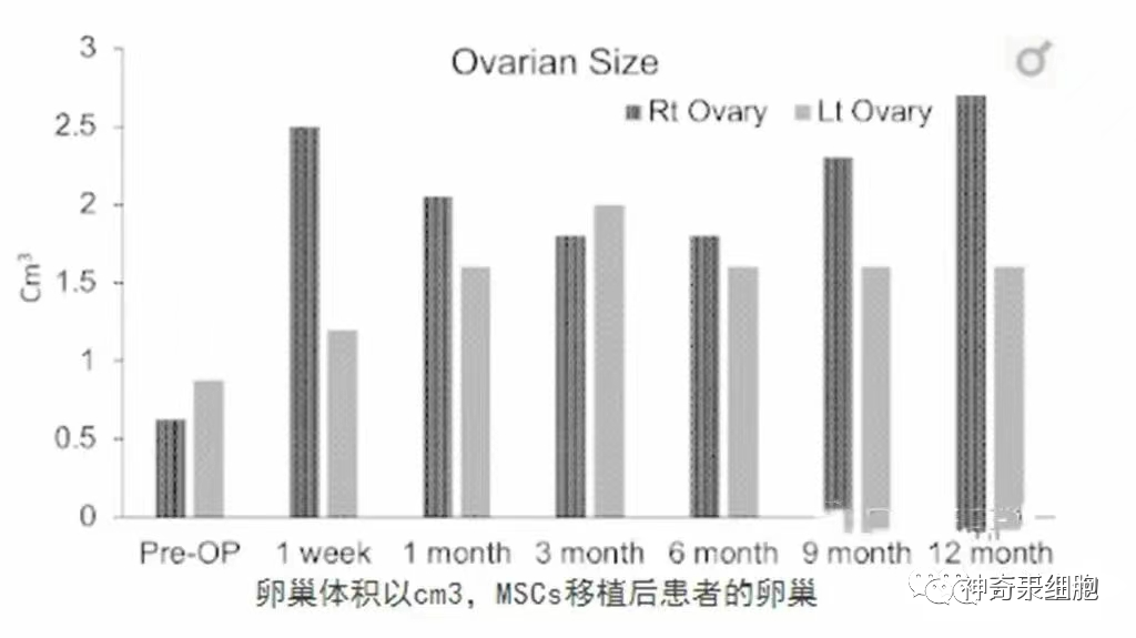 干细胞逆转更年期，让女性健康更优雅