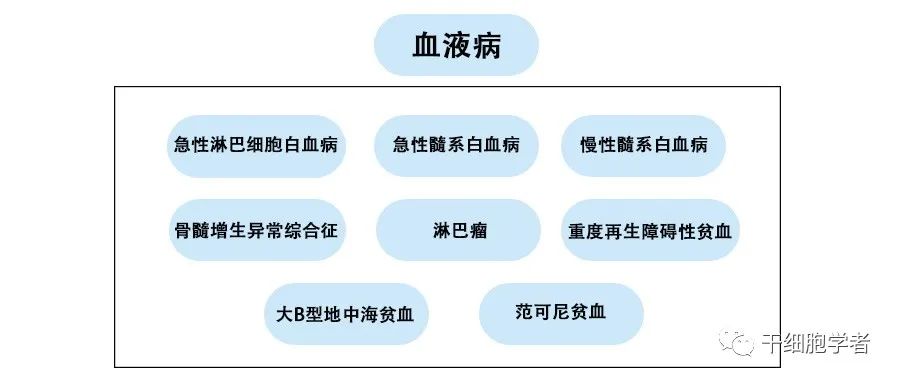 干细胞治疗应用病症合集 （三）