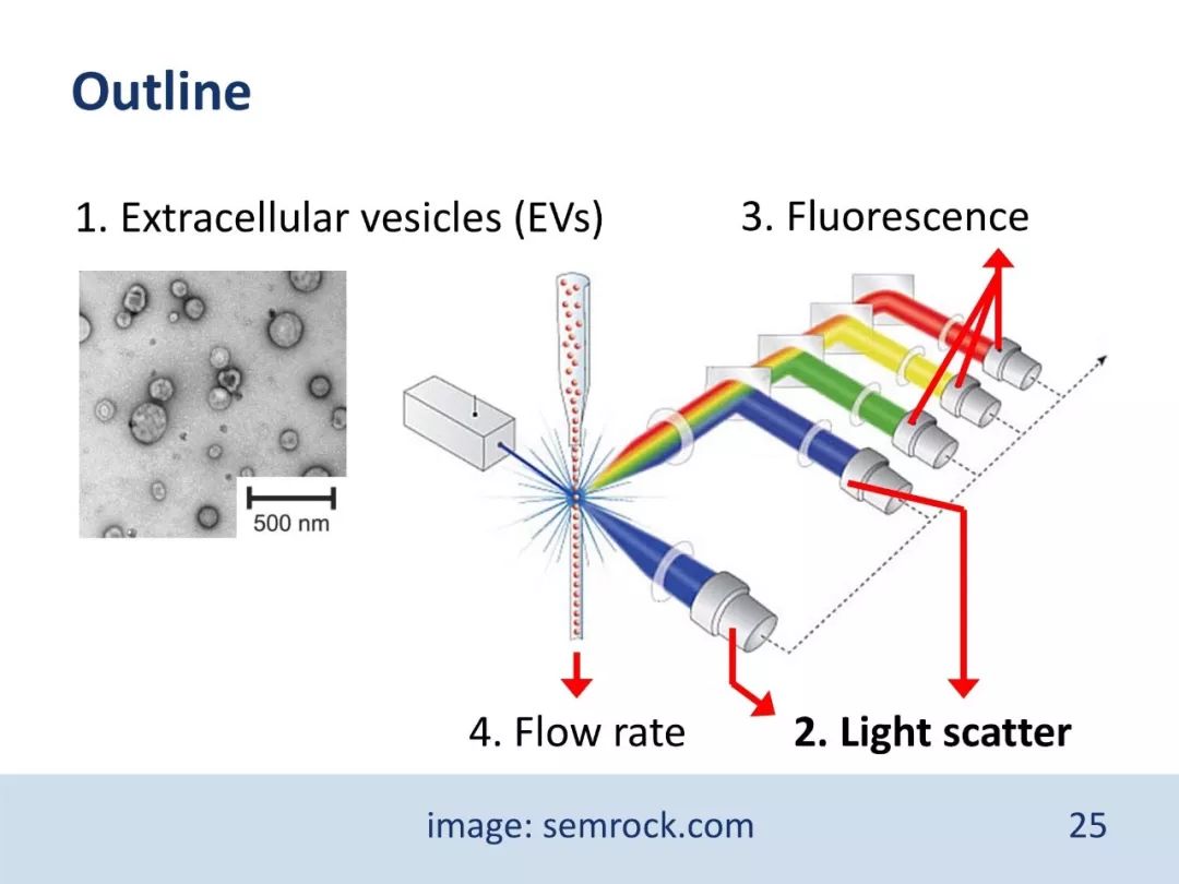 干货：流式检测外泌体，大小并不简单（PPT）