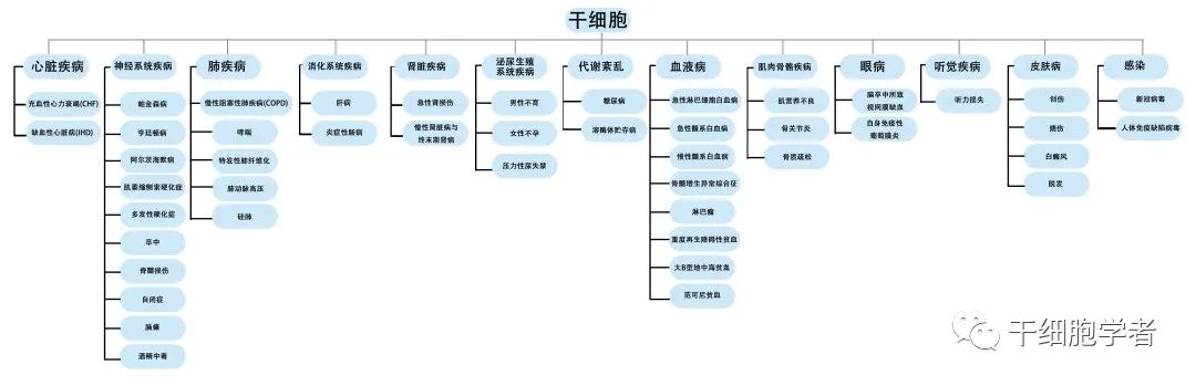 干细胞治疗应用病症合集  （一）