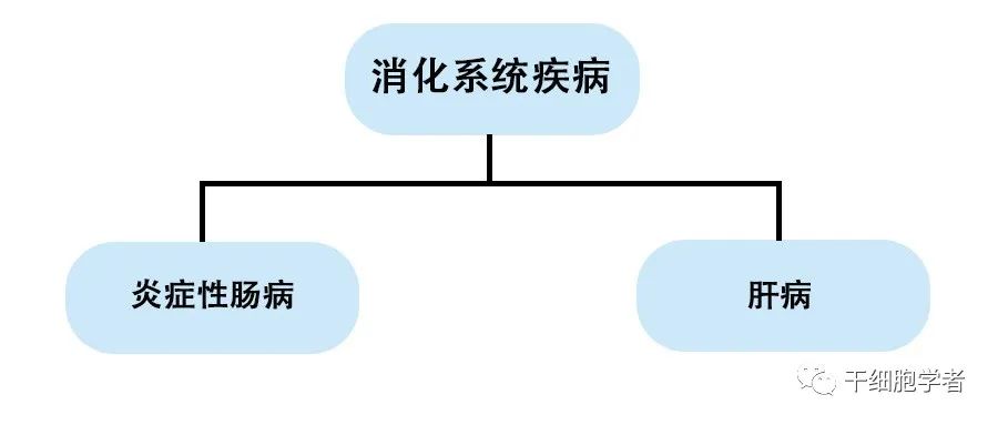 干细胞治疗应用病症合集 （二）