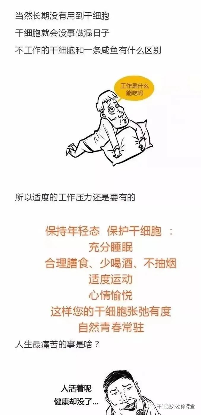 【漫画图解】干细胞怎么影响人的生老病死