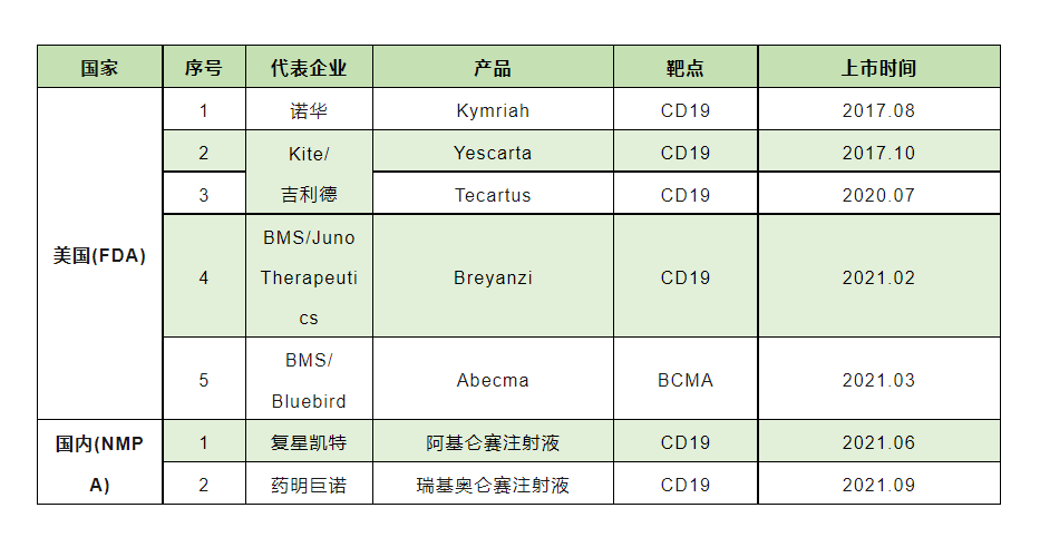 细胞治疗与大国竞争：探究中美生物医药布局及产业政策