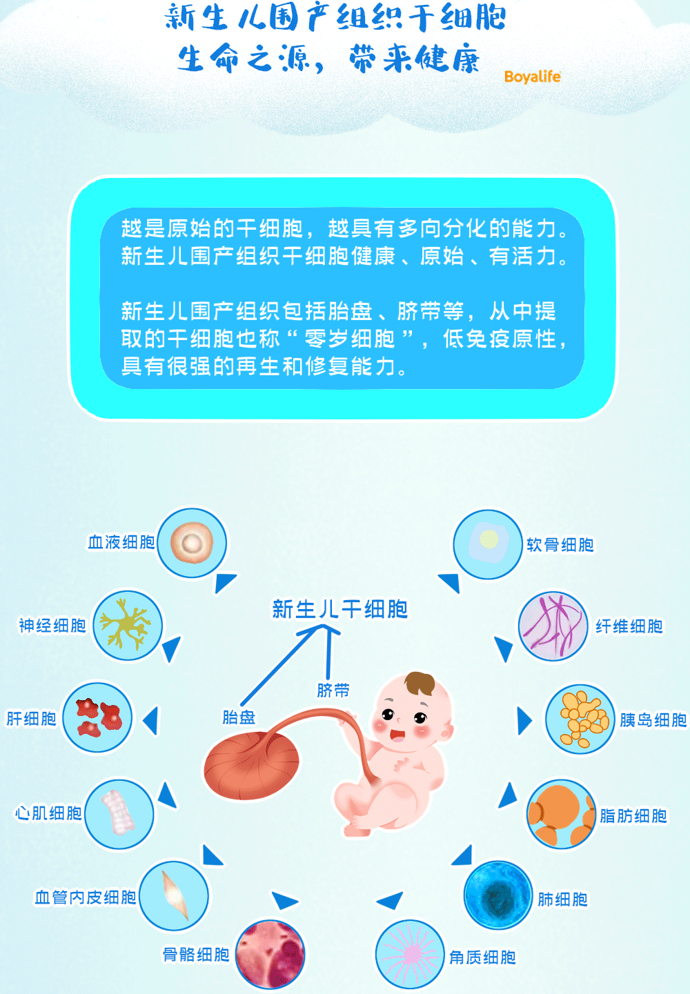 漫画| 你赶上细胞科技潮流了吗？存储干细胞已经成为新风尚