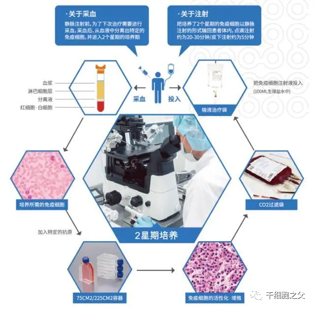 肿瘤患者接受免疫治疗多久起效？疗效能持续多长时间？