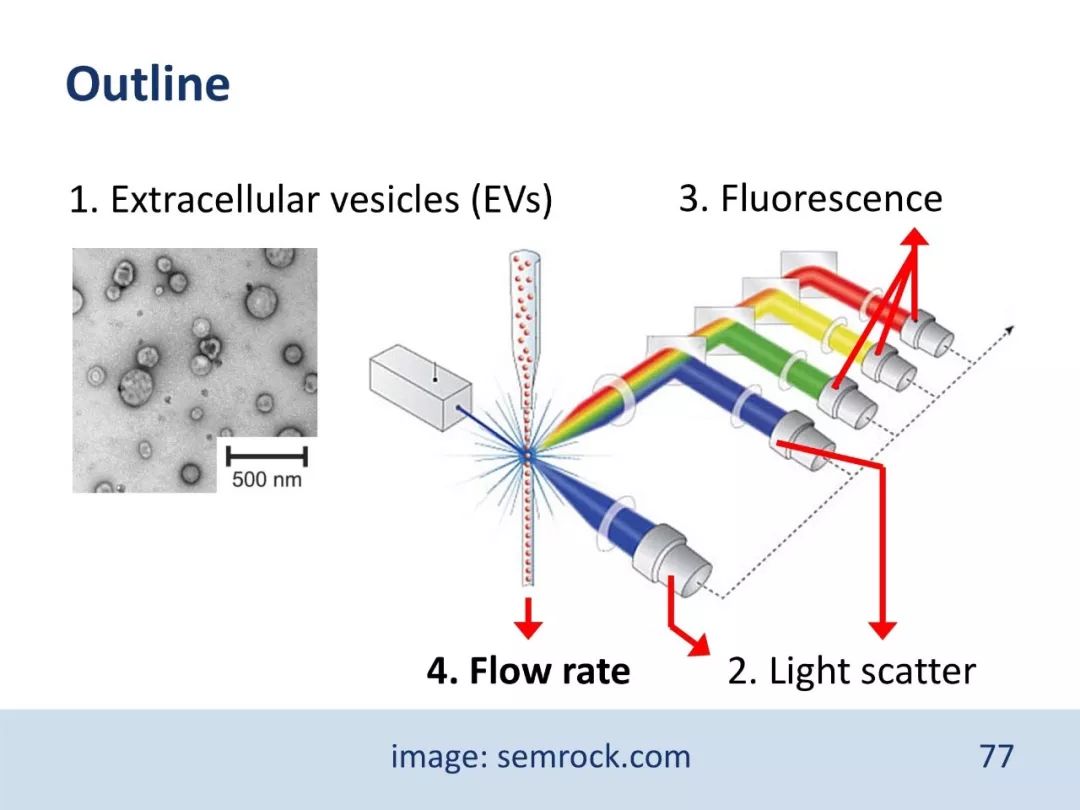干货：流式检测外泌体，大小并不简单（PPT）