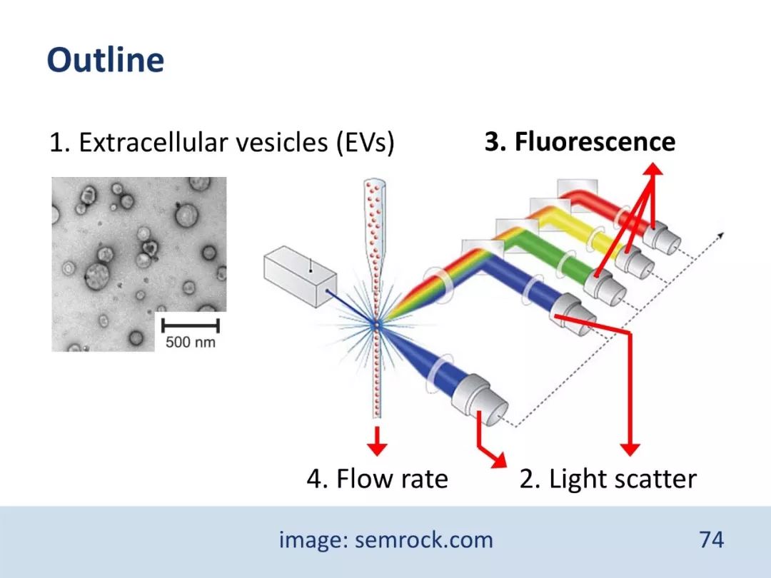 干货：流式检测外泌体，大小并不简单（PPT）