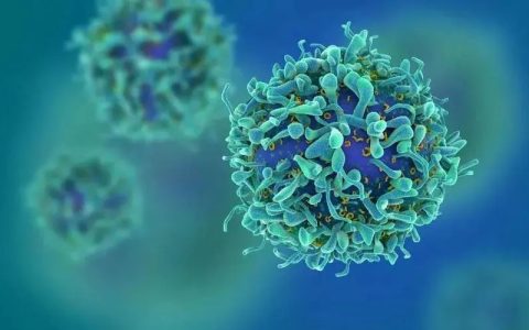 NK细胞——抵御病毒，防癌抗衰，改善亚健康的首选