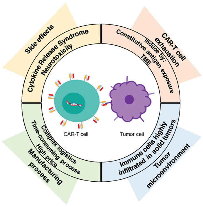 CAR-T细胞治疗的挑战