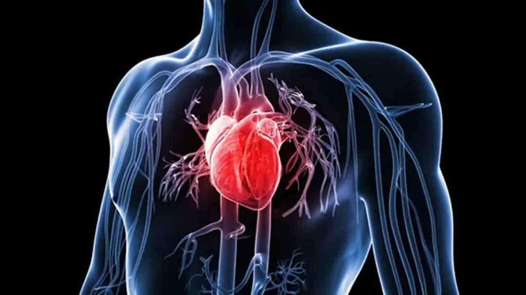 全球迄今最大规模心衰试验：干细胞让心衰患者心梗、中风发生率降低58%