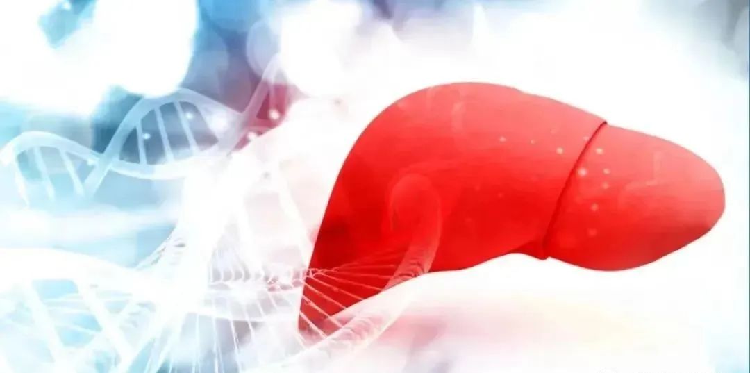 每10人就有1~3人有脂肪肝，干细胞可有效逆转肝损伤，阻止肝纤维化肝硬化的发生！