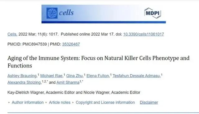 《Cell》新综述：年轻的NK免疫细胞有望延缓衰老过程，治疗年龄相关疾病