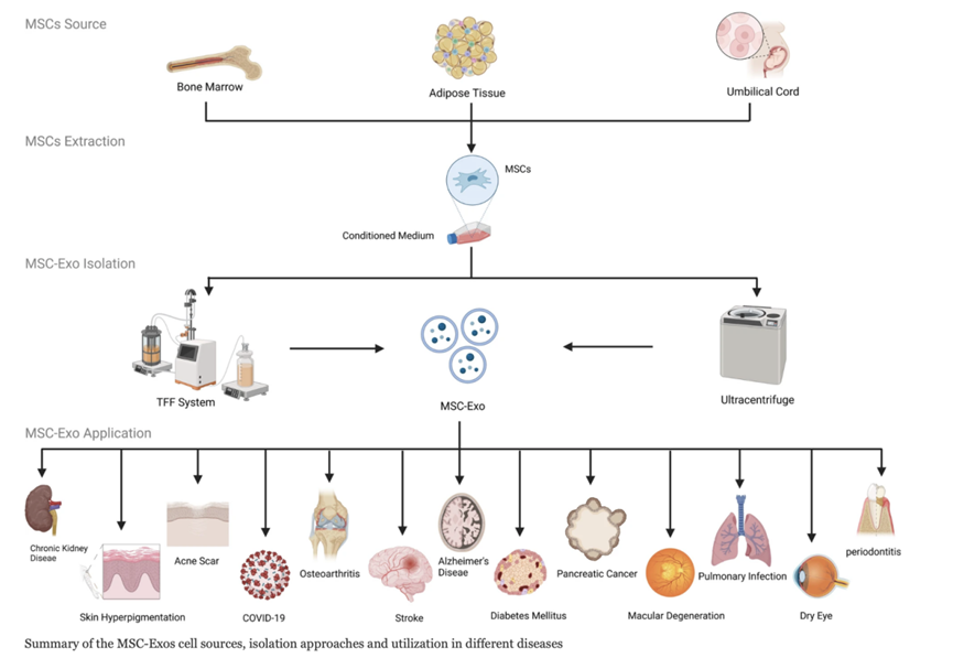慢性肾病、阿尔茨海默氏症、1型糖尿病、以及痤疮疤痕，间充质干细胞的外泌体（MSC-Exos）治疗前景