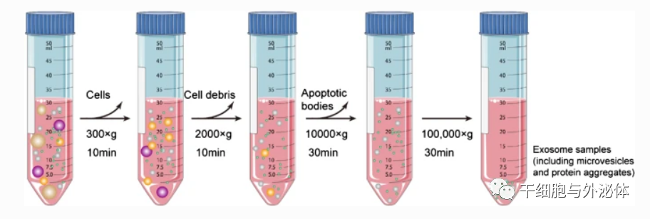 外泌体提取分离的12种技术