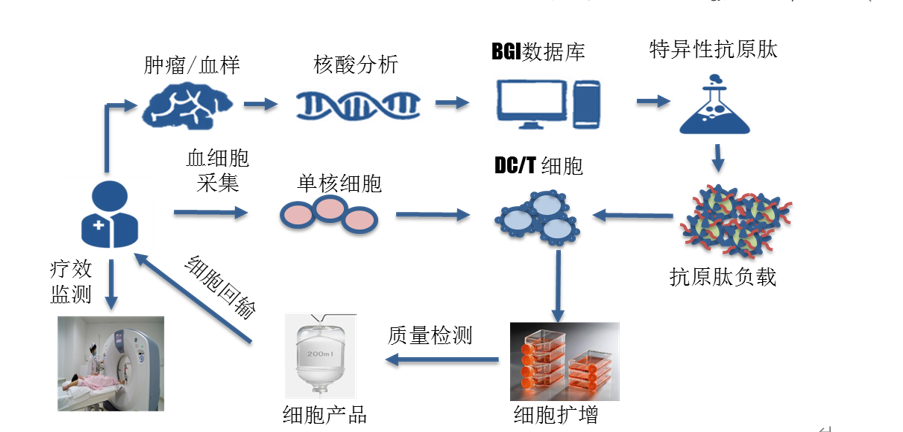 临床招募|华大吉诺因|临床招募20-30例晚期实体肿瘤患者，个性化免疫治疗临床研究再开启