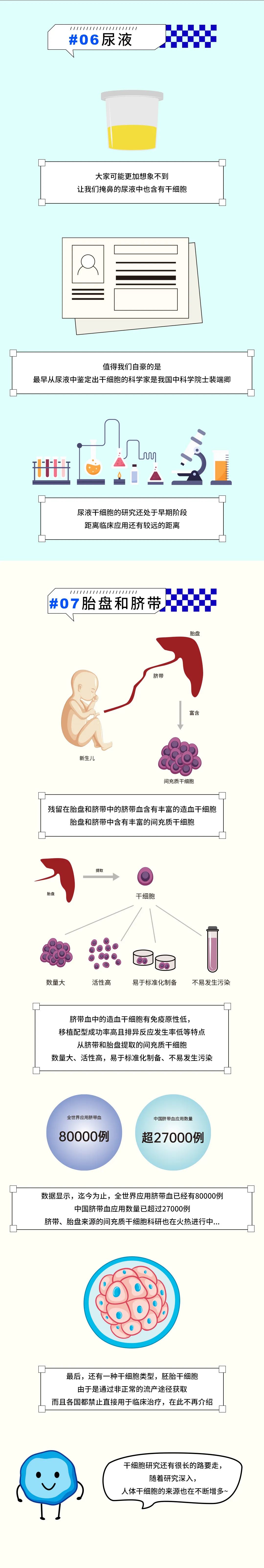 图解：干细胞可以从人体的哪些组织中提取？