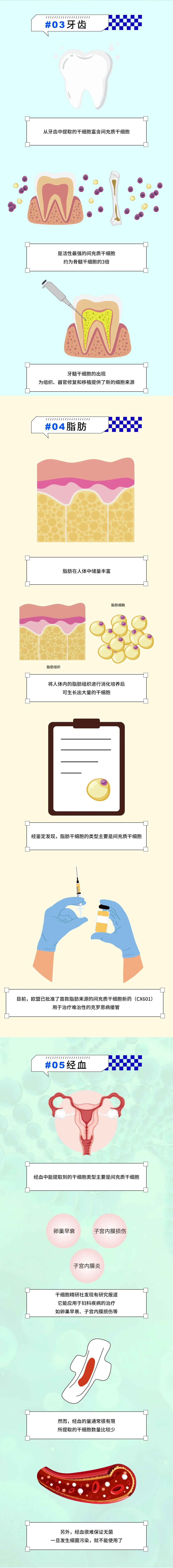 图解：干细胞可以从人体的哪些组织中提取？