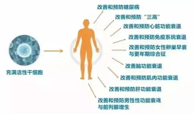 干细胞一次性征服人类三大天敌：衰老、免疫力、癌症