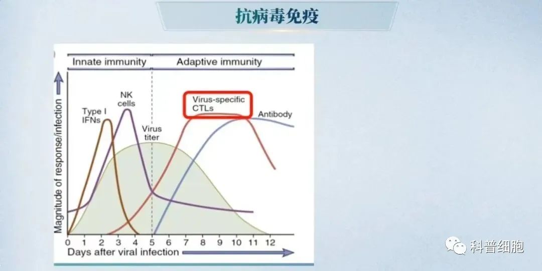 董晨院士：免疫治疗让难以攻克的疾病有了治愈的希望