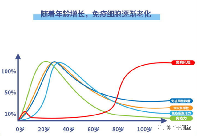 年龄越大免疫力越差，补充免疫细胞是关键！