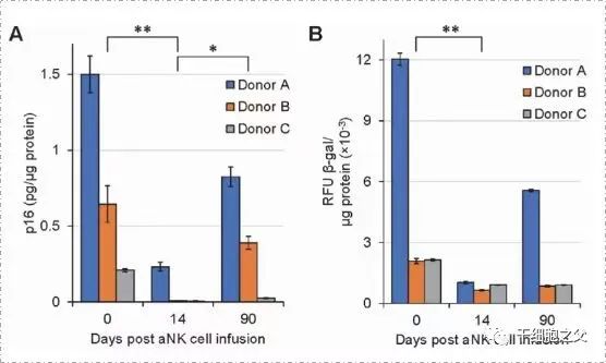 10亿个NK细胞输注后，显著降低了血液中衰老标记物