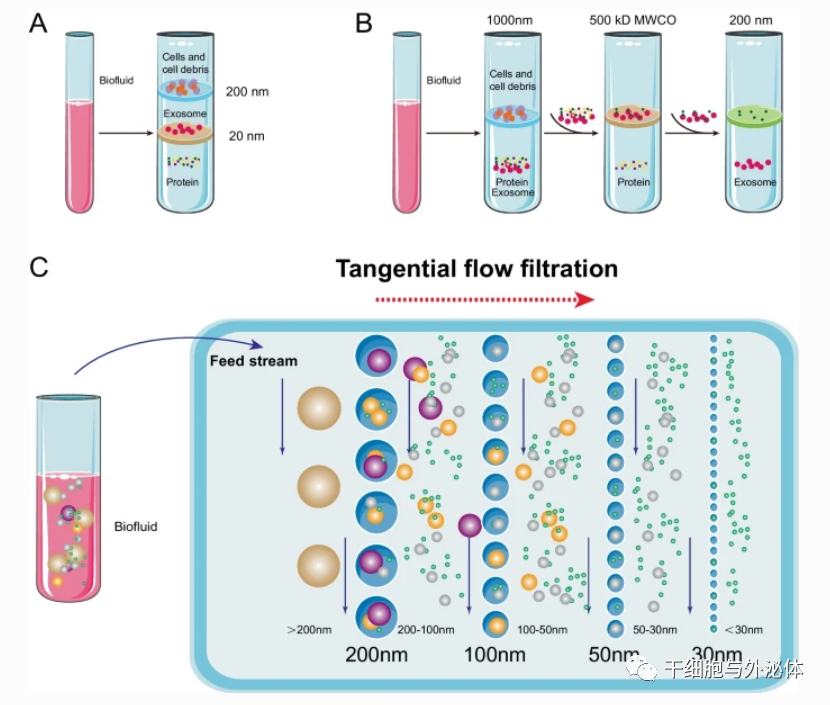 外泌体提取分离的12种技术