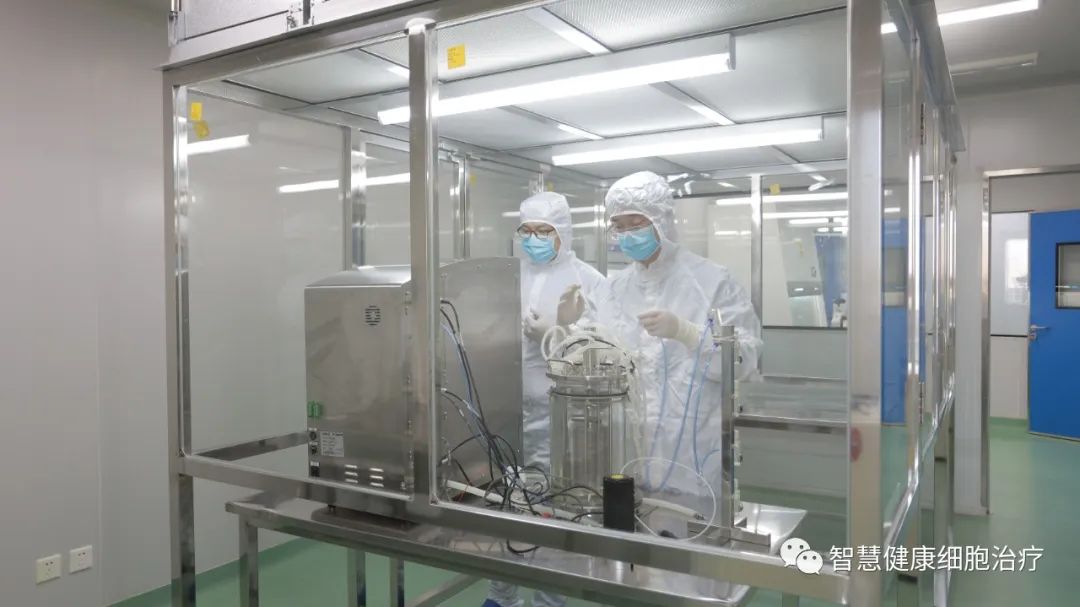 干细胞到了体内能存活多久?
