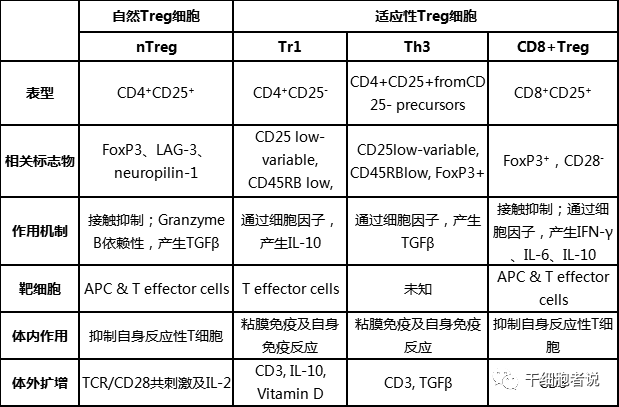 关于Treg细胞，你想知道的在这里