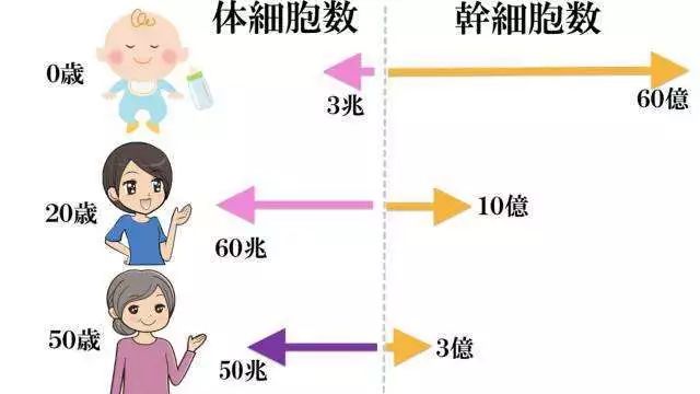 都2023了还在做传统美容？细胞抗衰才是富人们的香饽饽！