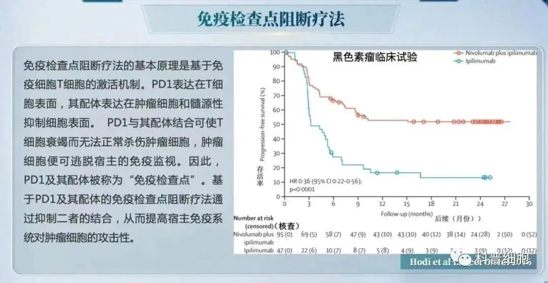 董晨院士：免疫治疗让难以攻克的疾病有了治愈的希望