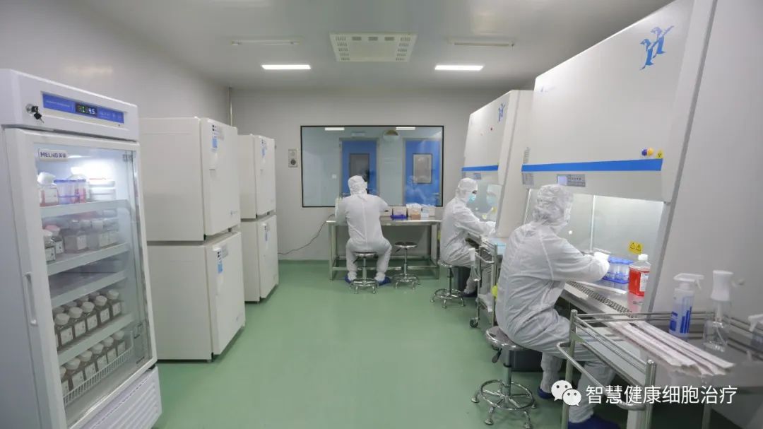干细胞到了体内能存活多久?
