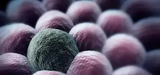 干细胞一次性征服人类三大天敌：衰老、免疫力、癌症