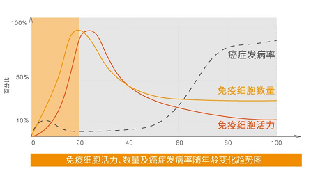 20岁和60岁时你的免疫细胞有什么不同