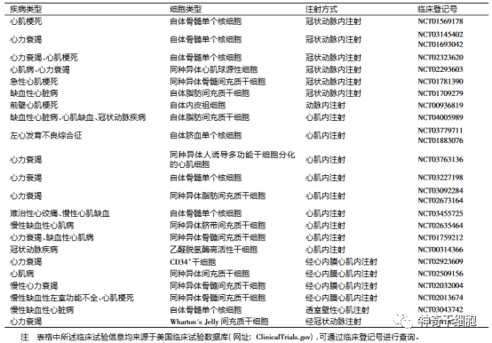 警惕！心脏越圆患病风险可能越高，干细胞成为心脏病治疗新希望