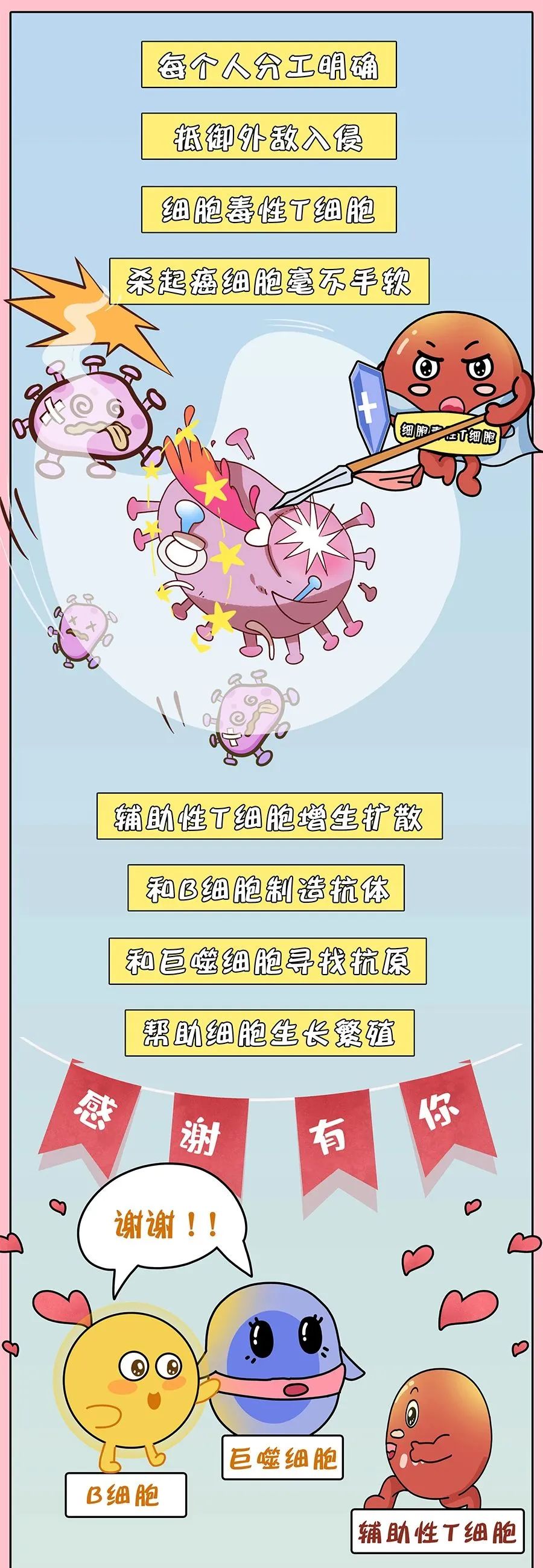 漫画小科普|免疫细胞界的“杀手”