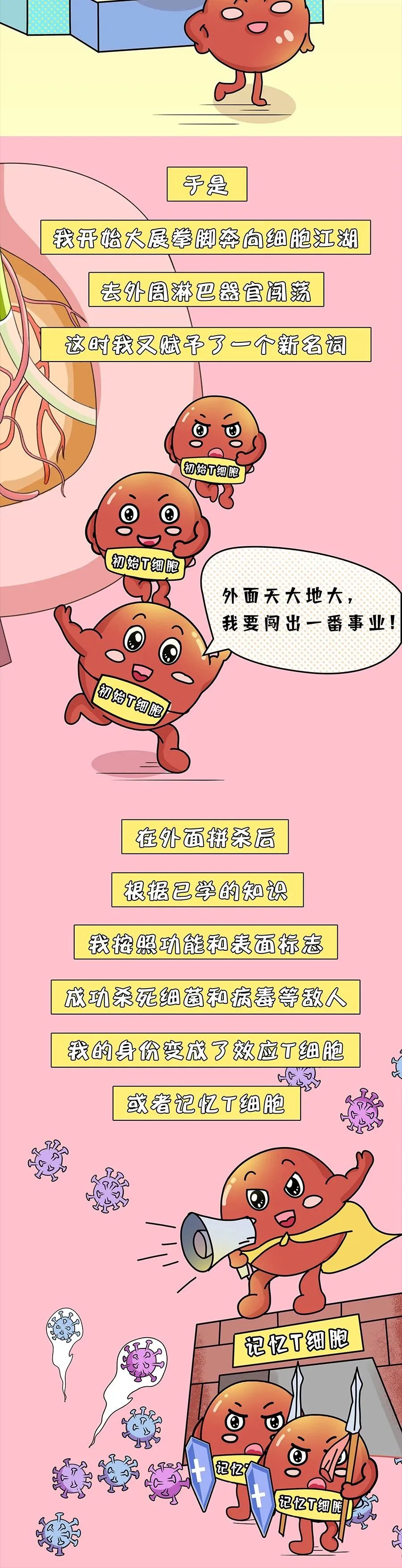 漫画小科普|免疫细胞界的“杀手”