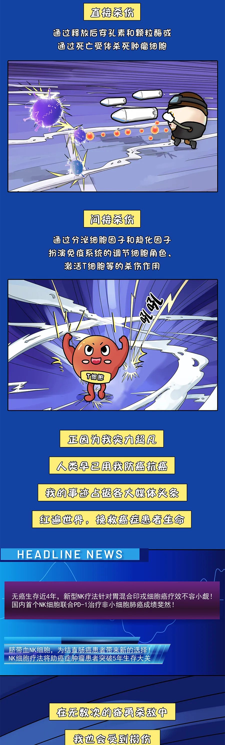 漫画科普|免疫细胞中的C位担当