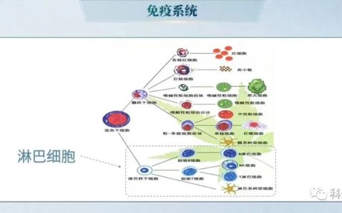 董晨院士：免疫治疗让难以攻克的疾病有了治愈的希望