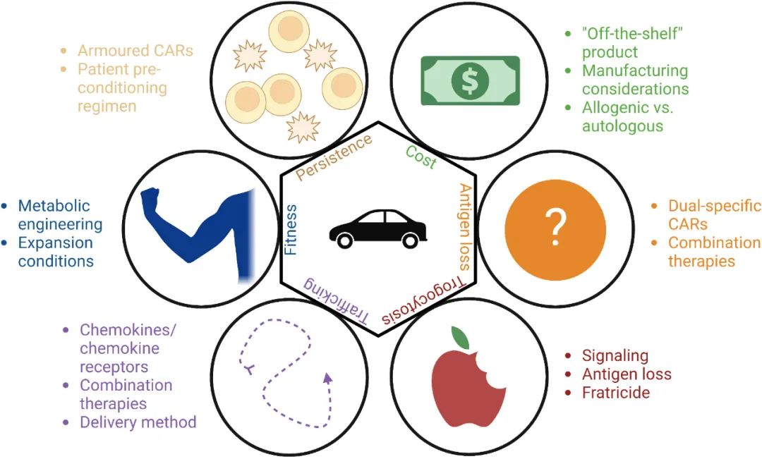 关于CAR-NK细胞疗法，从六个维度分析