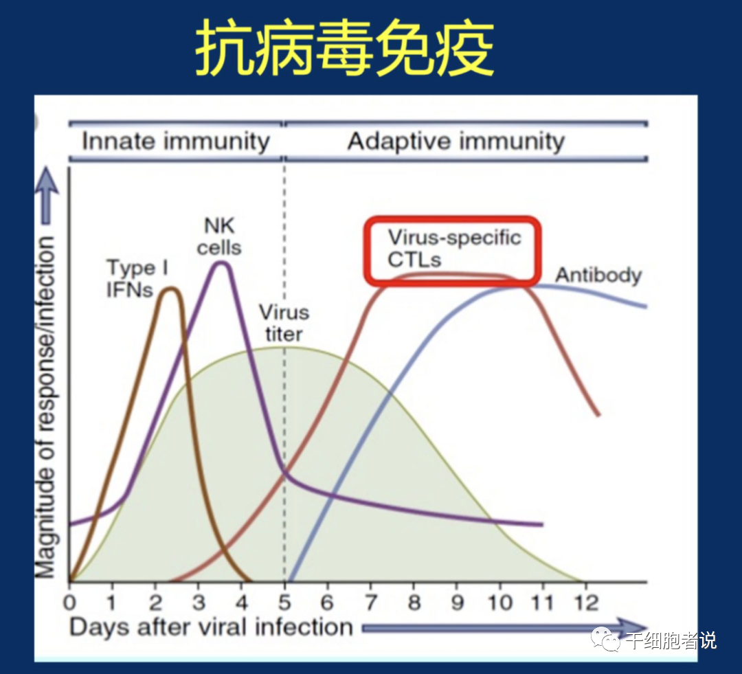 董晨院士：免疫治疗让难以攻克的疾病有了治愈的希望